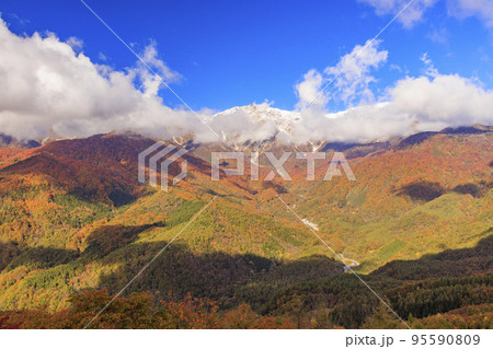 秋の岩岳マウンテンリゾートからの三段紅葉 95590809