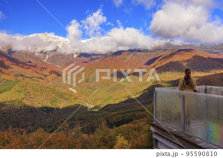 秋の岩岳マウンテンリゾートからの三段紅葉 95590810