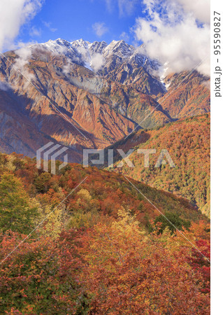 秋の岩岳マウンテンリゾートからの三段紅葉 95590827