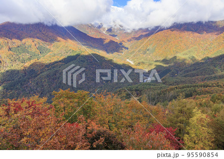 秋の岩岳マウンテンリゾートからの三段紅葉 95590854