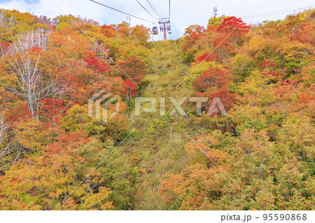 秋の岩岳マウンテンリゾートからの三段紅葉 95590868