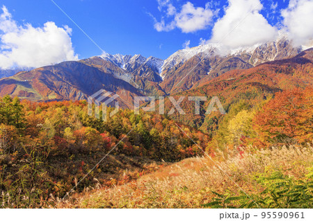 秋の岩岳マウンテンリゾートからの三段紅葉 95590961