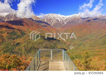 秋の岩岳マウンテンリゾートからの三段紅葉 95590966