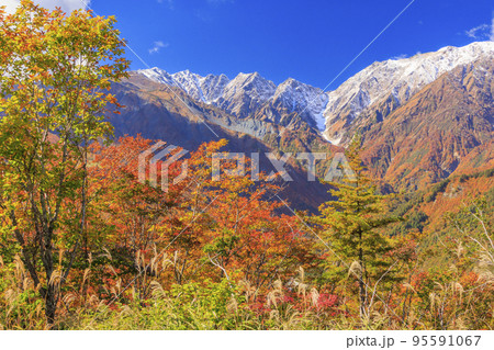 秋の岩岳マウンテンリゾート白馬ヒトトキノモリからの三段紅葉 95591067