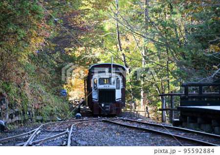 小さなティーゼル機関車に引かれる客車(赤沢森林鉄道) 小さなティーゼル機関車に引かれる客車(赤沢森林鉄道) 95592884