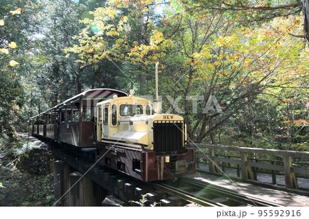 小さなティーゼル機関車に引かれる客車(赤沢森林鉄道) 小さなティーゼル機関車に引かれる客車(赤沢森林鉄道) 95592916