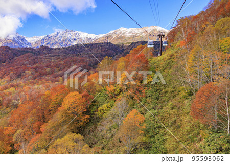 紅葉真っ盛りな栂池自然園 紅葉真っ盛りな栂池自然園 95593062