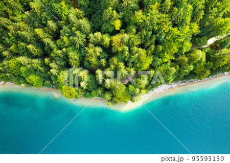 Coastline of the lake with tall coniferous trees and turquoise water, top view Coastline of the lake with tall coniferous trees and turquoise water, top view 95593130