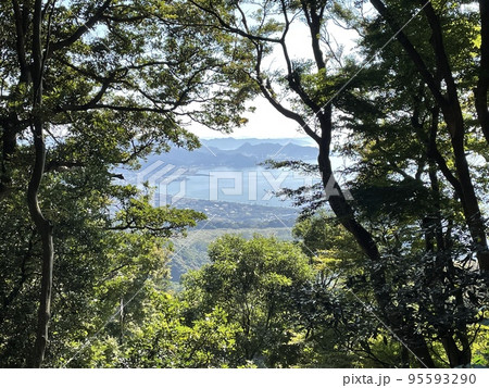 千葉県鋸山　山道の木の間から見える房総の街並みと海 95593290