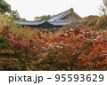 京都・東福寺　臥雲橋から望む通天橋と紅葉 95593629