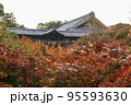 京都・東福寺　臥雲橋から望む通天橋と紅葉 95593630