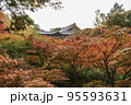 京都・東福寺　臥雲橋から望む通天橋と紅葉 95593631