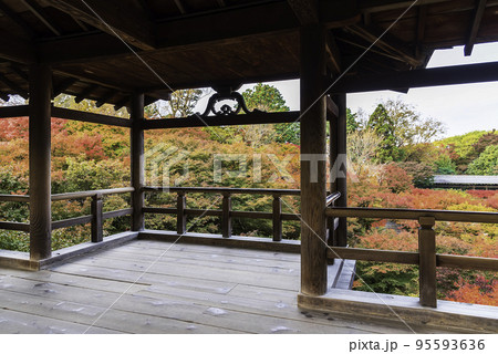 京都・東福寺　通天橋からの紅葉 95593636