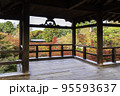 京都・東福寺　通天橋からの紅葉 95593637