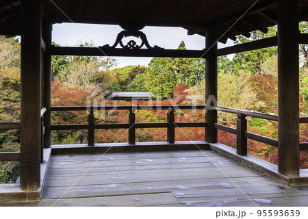 京都・東福寺　通天橋からの紅葉 95593639