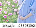 花と臨月の妊婦さんのお腹 95595692