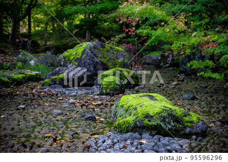 公園の中の庭園 公園の中の庭園 95596296