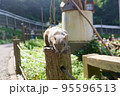 休日のリス園お散歩 95596513