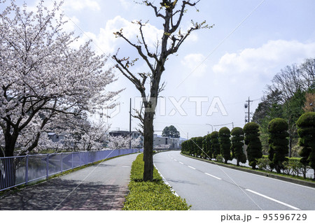 右カーブの道路 95596729