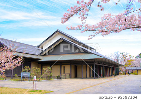 名古屋市、名古屋能楽堂と満開の桜の風景 名古屋市、名古屋能楽堂と満開の桜の風景 95597304