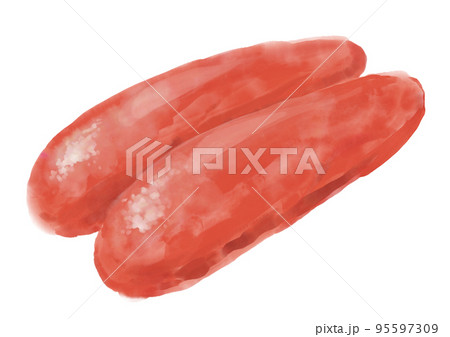 手描きのたらこ01_1 手描きのたらこ01_1 95597309