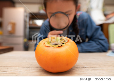 柿を虫眼鏡で見る子供 95597759