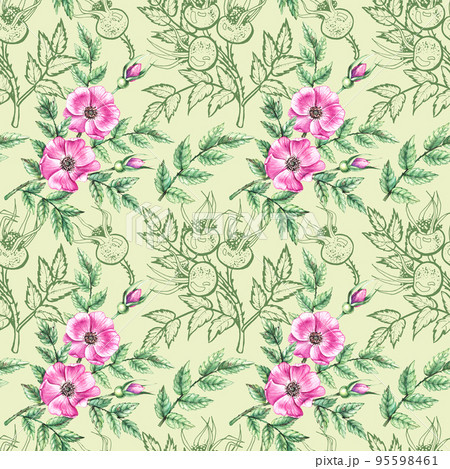 Watercolor Rosehip pattern 95598461