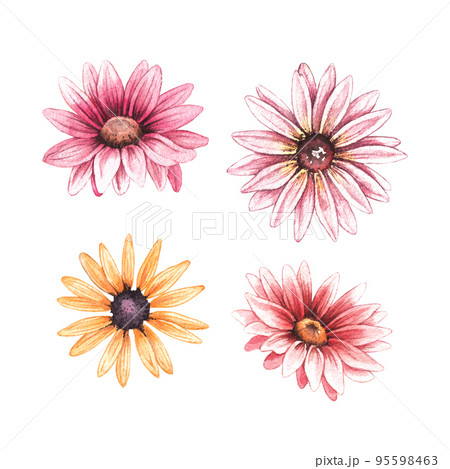 Watercolor set of autumn flowers on a white background 95598463