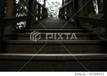 Close up of wooden staircase in Alishan National Forest Recreation Area in Chiayi County, Alishan Township, Taiwan 95599012