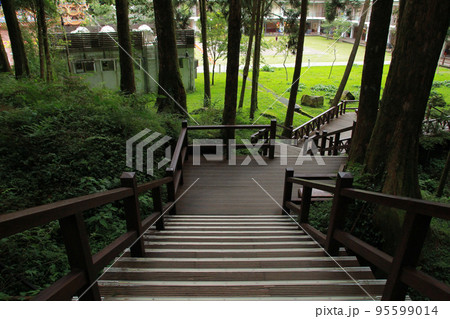 beautiful wooden walkway in Alishan National Forest Recreation Area in Chiayi County, Alishan Township, Taiwan beautiful wooden walkway in Alishan National Forest Recreation Area in Chiayi County, Alishan Township, Taiwan 95599014