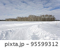 Snow-covered field with forest and blue cloudy sky 95599312