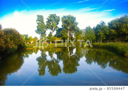 beautiful pond 95599447
