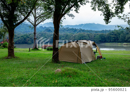 Camping, Forest, Tent, Backgrounds, No People 95600021