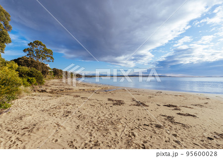 Jubilee Beach in Swansea Tasmania Australia 95600028