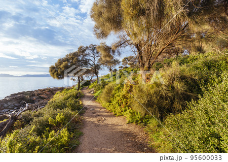 Loontitetermairrelehoiner Track in Swansea Tasmania Australia Loontitetermairrelehoiner Track in Swansea Tasmania Australia 95600033