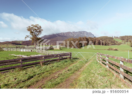 Mt Roland near Sheffield in Tasmania Australia 95600054