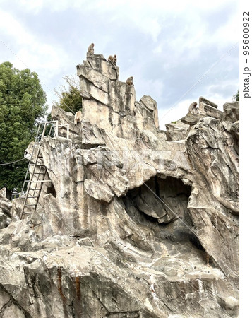 上野動物園のサル山 上野動物園のサル山 95600922