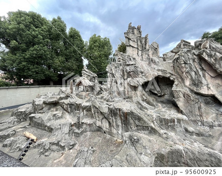 上野動物園のサル山 上野動物園のサル山 95600925