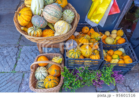 Pumpkins Gourds Farmers Market Pumpkins Gourds Farmers Market 95601516