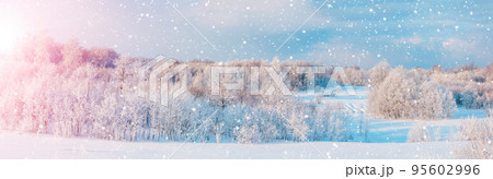 Panoramic view of the white snowy trees in natural park 95602996