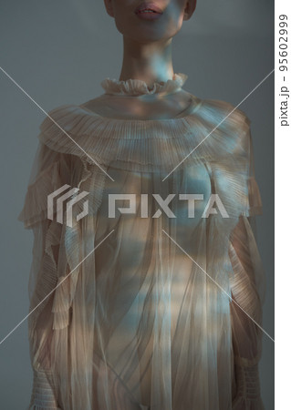 Sexy model in transparent dress. 95602999