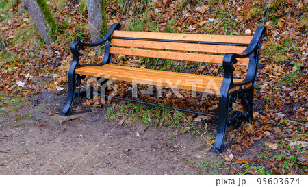 Elegant park bench with decorative metal elements on the sides. Late autumn October Latvia. Elegant park bench with decorative metal elements on the sides. Late autumn October Latvia. 95603674