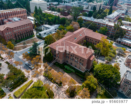 Aerial view of the Royce Hall at the University of California, Los Angeles, UCLA. Royce Hall is one of four original buildings of the UCLA campus. 95603977