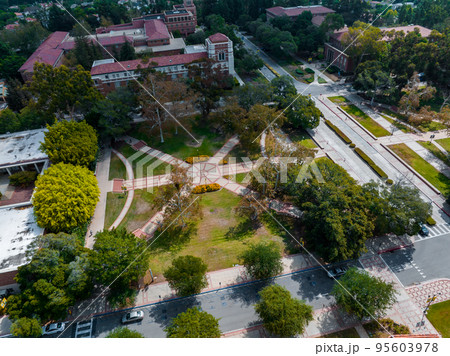 Aerial view of the campus at the University of California, Los Angeles, UCLA. Royce Hall is one of four original buildings of the UCLA campus. 95603978