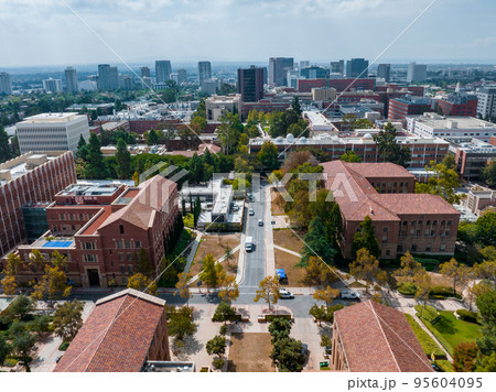 Aerial view of the campus at the University of California, Los Angeles, UCLA. Royce Hall is one of four original buildings of the UCLA campus. 95604095