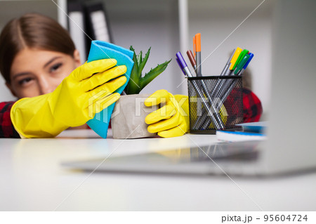 Woman wipes the dust off the leaves with a damp soft cloth. Woman wipes the dust off the leaves with a damp soft cloth. 95604724
