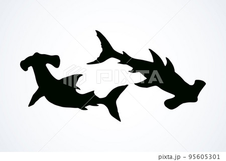 Seaweed. Vector drawing 95605301