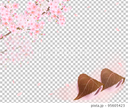 Cherry tree and petals-Japanese style illustration set of pink kashiwa mochi-hand-drawn material 95605423