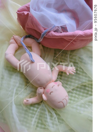 妊娠中の可愛らしい赤ちゃんの様子が再現されています 95607676