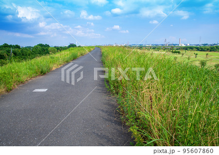 彩湖公園付近の土手から 荒川沿いの風景 夏の季節 彩湖公園付近の土手から 荒川沿いの風景 夏の季節 95607860